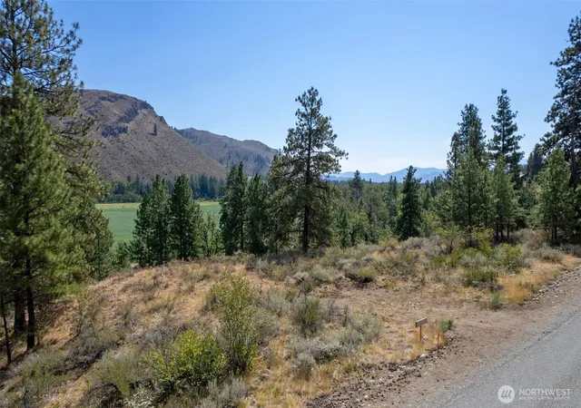 Photo 4 of Land for sale at 600 W Chewuch Rd, Winthrop, WA 98862 | MLS# NWM2507026 | Listing updated on 2026-09-24