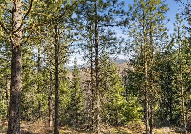 Photo 3 of Land for sale at 47 Gold Leaf Ln, Cle Elum, WA 98922 | MLS# NWM2507057 | Listing updated on 2026-09-21
