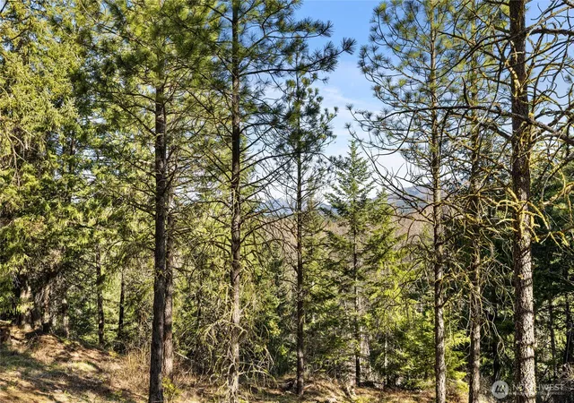 Photo 4 of Land for sale at 47 Gold Leaf Ln, Cle Elum, WA 98922 | MLS# NWM2507057 | Listing updated on 2026-09-21