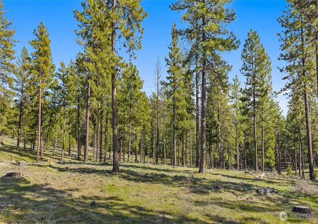 Photo 1 of Land for sale at 0 Xxx Flying M, Cle Elum, WA 98922 | MLS# NWM2507106 | Listing updated on 2026-09-21