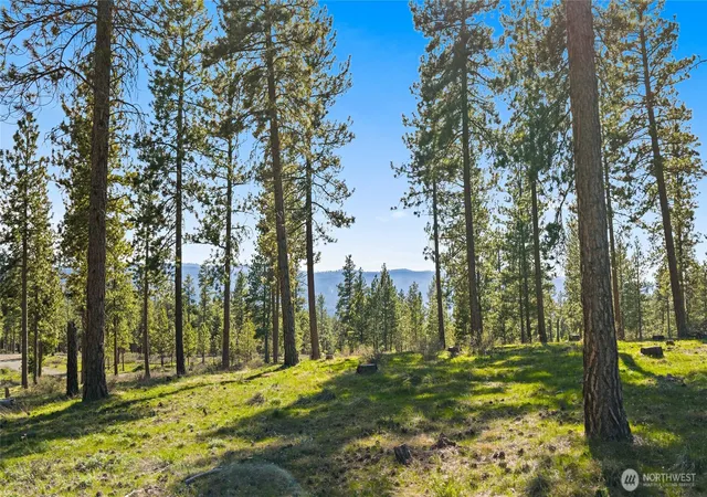 Photo 3 of Land for sale at 0 Xxx Flying M, Cle Elum, WA 98922 | MLS# NWM2507106 | Listing updated on 2026-09-21