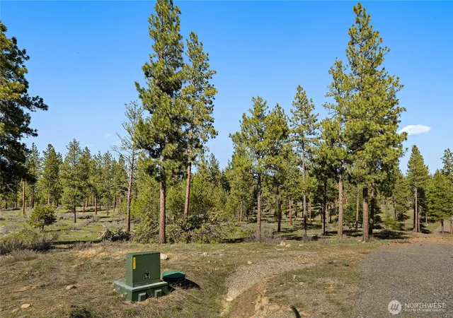 Photo 4 of Land for sale at 0 Xxx Flying M, Cle Elum, WA 98922 | MLS# NWM2507106 | Listing updated on 2026-09-21