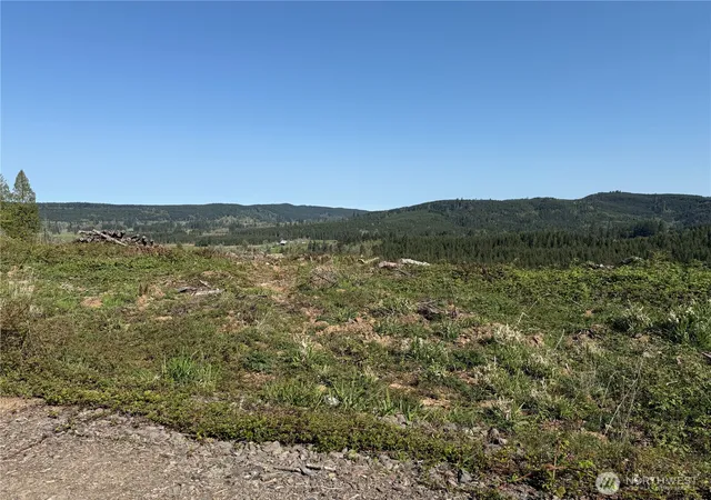 Photo 3 of Land for sale at 6 Xx Oppelt Rd, Chehalis, WA 98532 | MLS# NWM2507142 | Listing updated on 2026-09-21