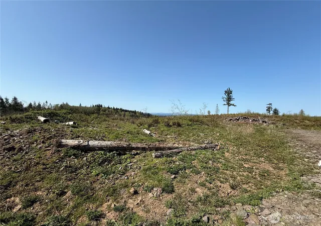 Photo 3 of Land for sale at 6 Xx Oppelt Rd, Chehalis, WA 98532 | MLS# NWM2507142 | Listing updated on 2026-09-21
