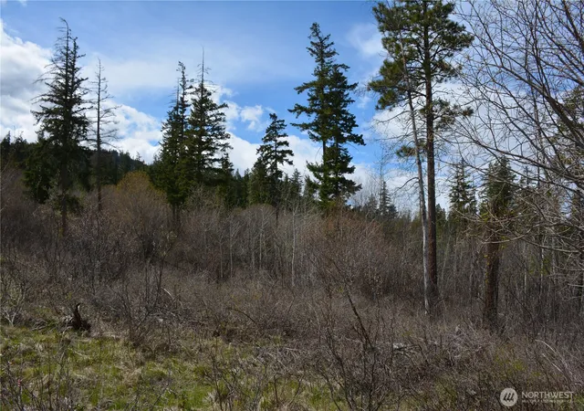 Photo 3 of Land for sale at 0 Xx Sturgis Rd, Cle Elum, WA 98922 | MLS# NWM2507421 | Listing updated on 2026-09-21