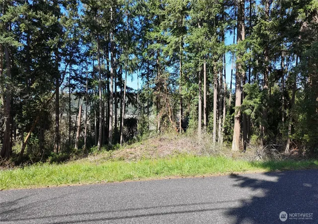 Photo 3 of Land for sale at 0 Wagner Rd, Camano Island, WA 98282 | MLS# NWM2507504 | Listing updated on 2026-09-21