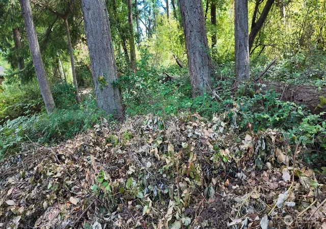 Photo 4 of Land for sale at 0 Wagner Rd, Camano Island, WA 98282 | MLS# NWM2507504 | Listing updated on 2026-09-21