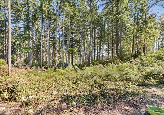 Photo 2 of Land for sale at 19025 Sw 23rd Street, Lakebay, WA 98349 | MLS# NWM2507702 | Listing updated on 2026-09-21