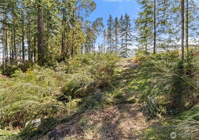 Photo 3 of Land for sale at 19025 Sw 23rd Street, Lakebay, WA 98349 | MLS# NWM2507702 | Listing updated on 2026-09-21