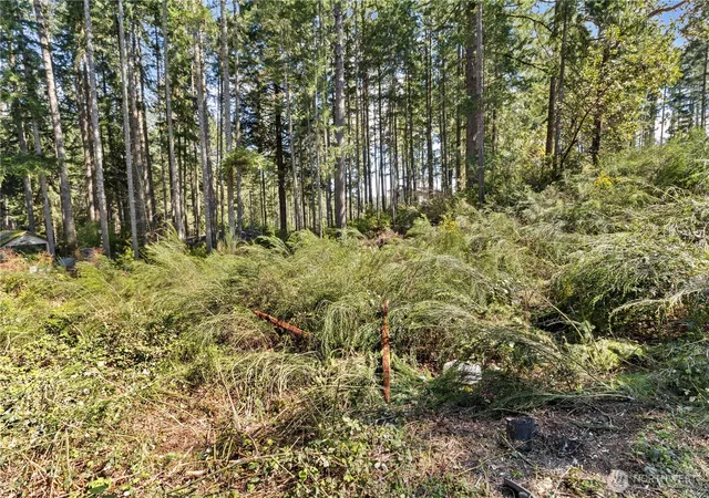 Photo 3 of Land for sale at 19025 SW 23rd Street, Lakebay, WA 98349 | MLS# NWM2507702 | Listing updated on 2026-09-21