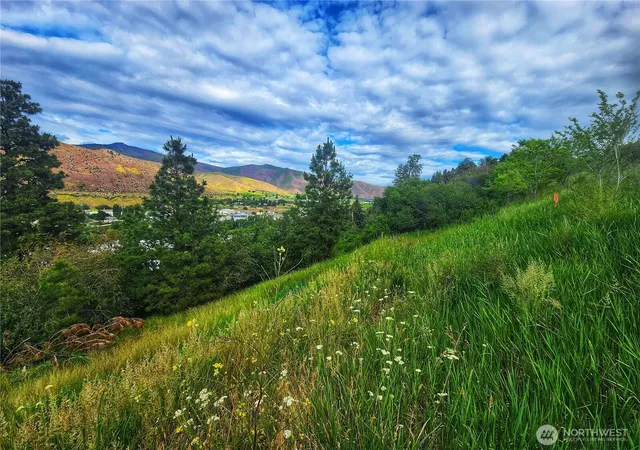 Photo 3 of Land for sale at 309 Kennedy Rd, Cashmere, WA 98815 | MLS# NWM2507807 | Listing updated on 2026-09-29