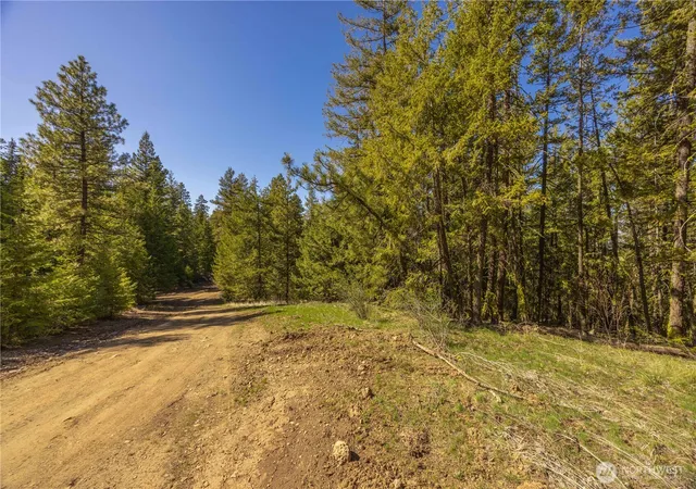 Photo 3 of Land for sale at 109 Fir Rd, East Wenatchee, WA 98802 | MLS# NWM2507868 | Listing updated on 2026-09-21