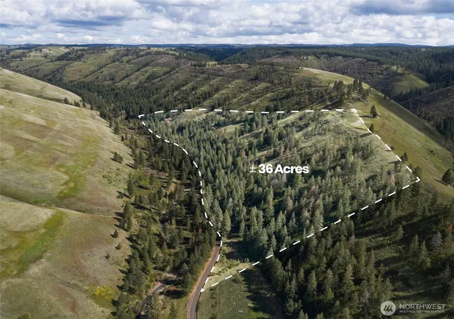 Photo 1 of Land for sale at 0 S Patit Rd, Dayton, WA 99328 | MLS# NWM2507943 | Listing updated on 2026-09-21