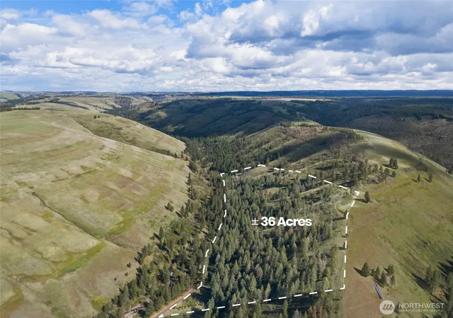 Photo 2 of Land for sale at 0 S Patit Rd, Dayton, WA 99328 | MLS# NWM2507943 | Listing updated on 2026-09-21