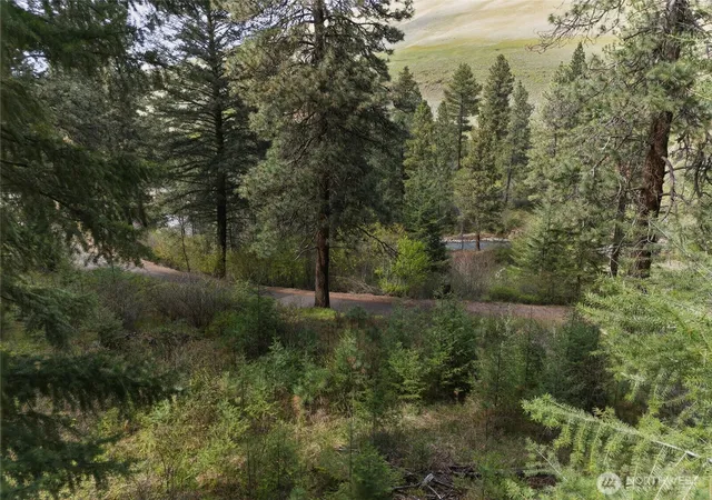 Photo 4 of Land for sale at 0 S Patit Rd, Dayton, WA 99328 | MLS# NWM2507943 | Listing updated on 2026-09-21
