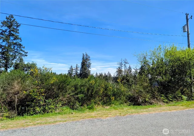Photo 1 of Land for sale at 2501 195th Avenue Sw, Lakebay, WA 98349 | MLS# NWM2508047 | Listing updated on 2026-09-22