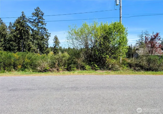 Photo 2 of Land for sale at 2501 195th Avenue Sw, Lakebay, WA 98349 | MLS# NWM2508047 | Listing updated on 2026-09-22