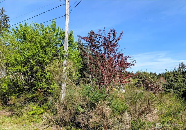 Photo 3 of Land for sale at 2501 195th Avenue SW, Lakebay, WA 98349 | MLS# NWM2508047 | Listing updated on 2026-09-22