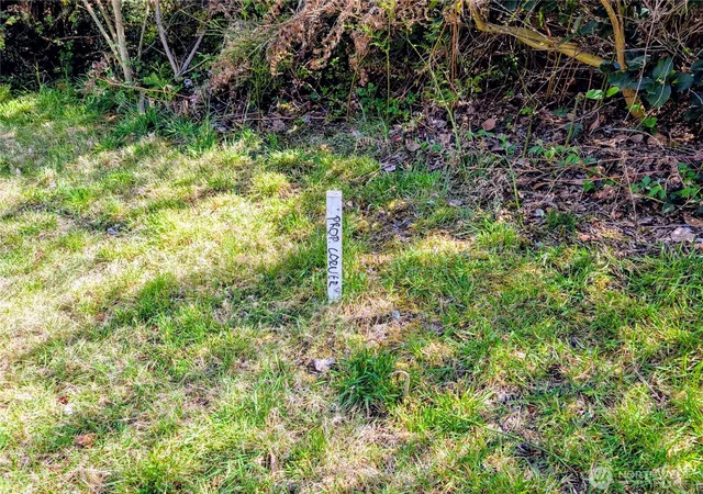 Photo 4 of Land for sale at 2501 195th Avenue SW, Lakebay, WA 98349 | MLS# NWM2508047 | Listing updated on 2026-09-22