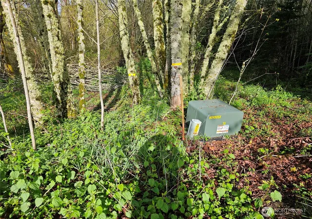 Photo 3 of Land for sale at 0 Birley Rd, Mossyrock, WA 98564 | MLS# NWM2508051 | Listing updated on 2026-09-21