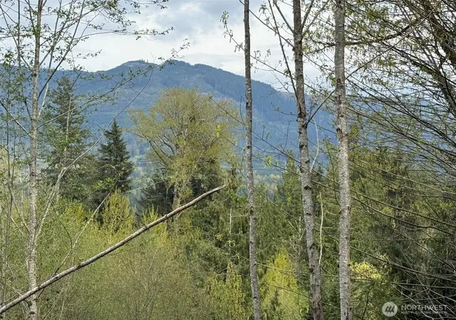 Photo 1 of Land for sale at 33115 37th Avenue Ne, Arlington, WA 98223 | MLS# NWM2508064 | Listing updated on 2026-09-17