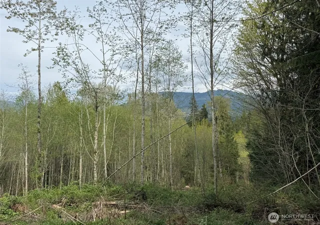 Photo 2 of Land for sale at 33115 37th Avenue Ne, Arlington, WA 98223 | MLS# NWM2508064 | Listing updated on 2026-09-17