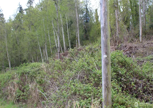 Photo 3 of Land for sale at 22 Xx Franklin St, Everett, WA 98203 | MLS# NWM2508319 | Listing updated on 2026-09-21