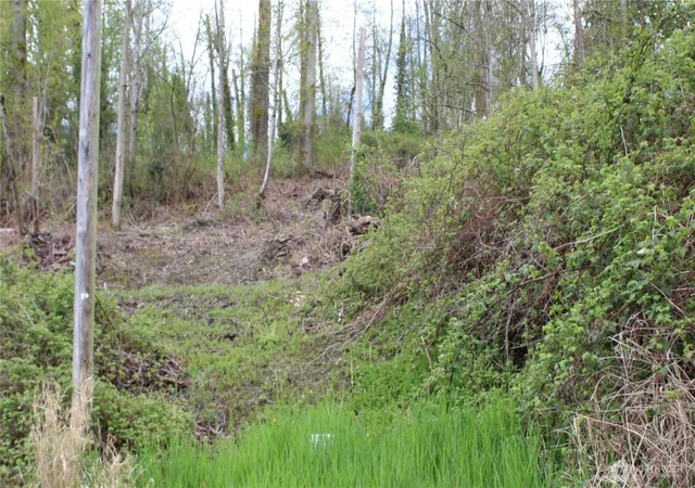 Photo 4 of Land for sale at 22 Xx Franklin St, Everett, WA 98203 | MLS# NWM2508319 | Listing updated on 2026-09-21