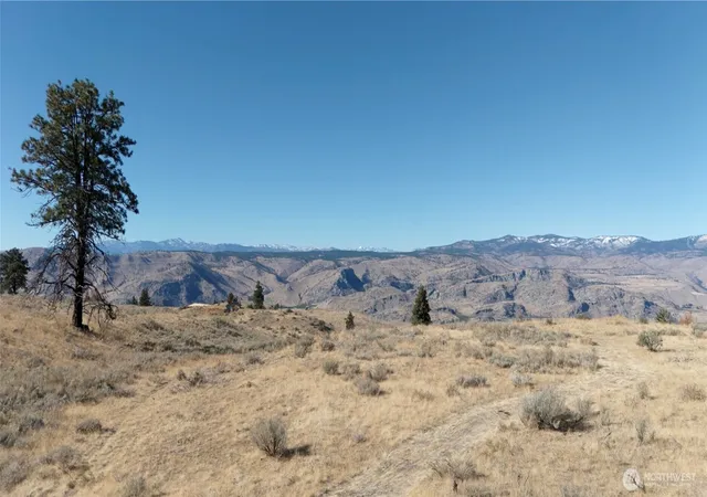 Photo 3 of Land for sale at 54 Wolf Holler Rd, Waterville, WA 98858 | MLS# NWM2508356 | Listing updated on 2026-09-21