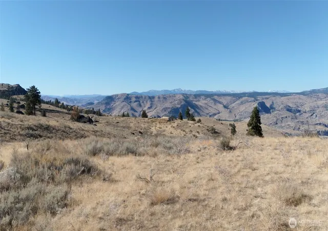 Photo 3 of Land for sale at 54 Wolf Holler Rd, Waterville, WA 98858 | MLS# NWM2508356 | Listing updated on 2026-09-21