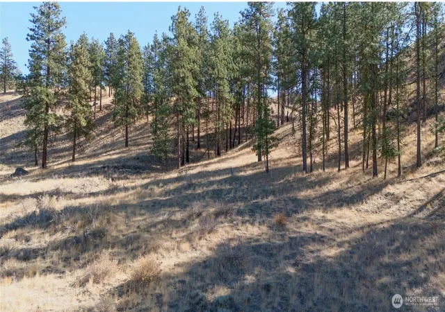 Photo 4 of Land for sale at 54 Wolf Holler Rd, Waterville, WA 98858 | MLS# NWM2508356 | Listing updated on 2026-09-21
