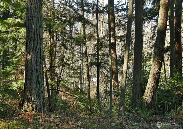 Photo 2 of Land for sale at 6880 Holst Rd, Clinton, WA 98236 | MLS# NWM2508406 | Listing updated on 2026-09-21