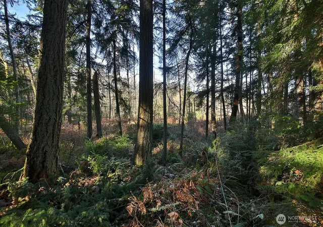 Photo 3 of Land for sale at 6880 Holst Rd, Clinton, WA 98236 | MLS# NWM2508406 | Listing updated on 2026-09-21
