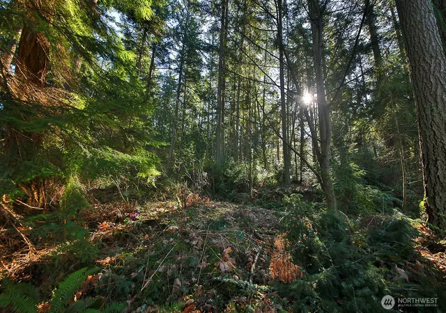 Photo 3 of Land for sale at 6880 Holst Rd, Clinton, WA 98236 | MLS# NWM2508406 | Listing updated on 2026-09-21