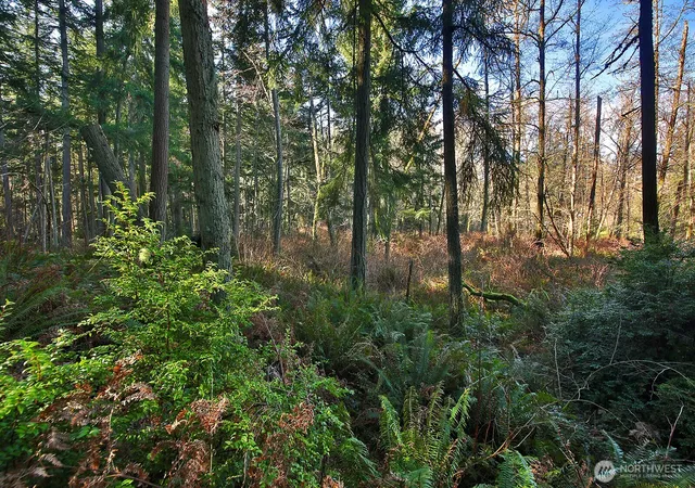 Photo 4 of Land for sale at 6880 Holst Rd, Clinton, WA 98236 | MLS# NWM2508406 | Listing updated on 2026-09-21