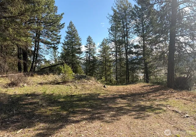 Photo 2 of Land for sale at 111 Tbd W Curlew Lake Rd, Republic, WA 99166 | MLS# NWM2508692 | Listing updated on 2026-09-21