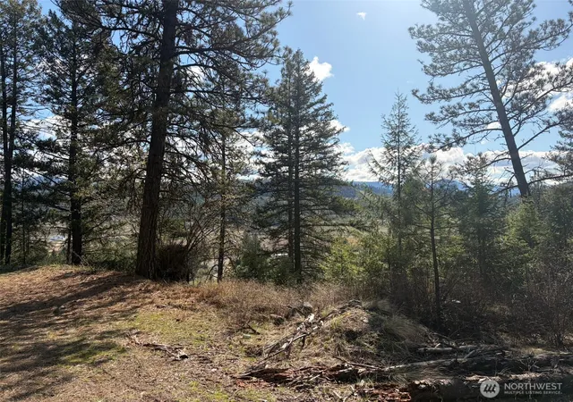 Photo 3 of Land for sale at 111 Tbd W Curlew Lake Rd, Republic, WA 99166 | MLS# NWM2508692 | Listing updated on 2026-09-21