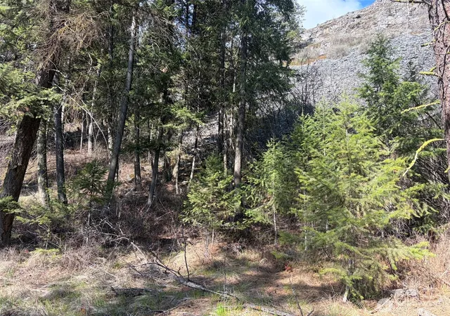 Photo 3 of Land for sale at 111 Tbd W Curlew Lake Rd, Republic, WA 99166 | MLS# NWM2508692 | Listing updated on 2026-09-21