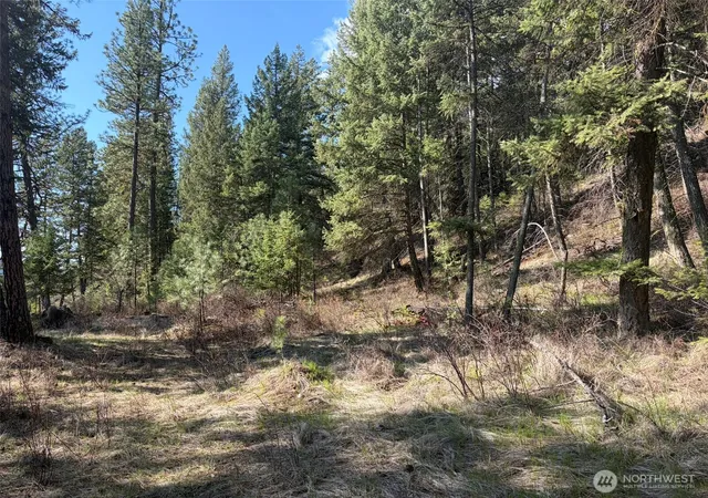 Photo 4 of Land for sale at 111 Tbd W Curlew Lake Rd, Republic, WA 99166 | MLS# NWM2508692 | Listing updated on 2026-09-21