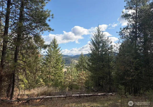 Photo 2 of Land for sale at 111 Tbd E W Curlew Lake Rd, Republic, WA 99166 | MLS# NWM2508713 | Listing updated on 2026-09-21