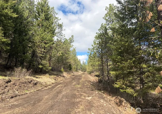 Photo 3 of Land for sale at 111 Tbd E W Curlew Lake Rd, Republic, WA 99166 | MLS# NWM2508713 | Listing updated on 2026-09-21
