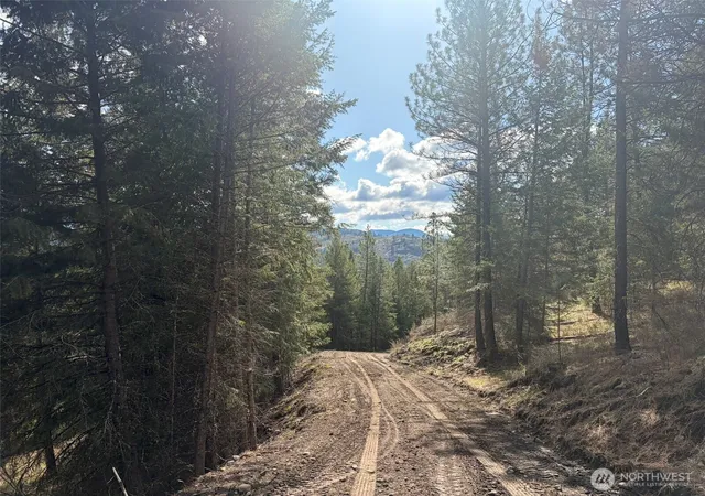 Photo 3 of Land for sale at 111 Tbd E W Curlew Lake Rd, Republic, WA 99166 | MLS# NWM2508713 | Listing updated on 2026-09-21