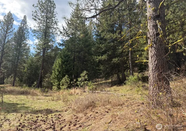 Photo 4 of Land for sale at 111 Tbd E W Curlew Lake Rd, Republic, WA 99166 | MLS# NWM2508713 | Listing updated on 2026-09-21