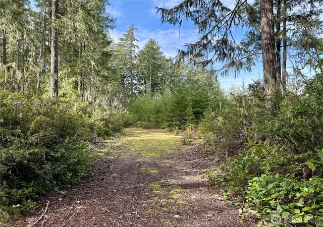 Land for sale at 7288 Beauchamp Ln NW, Seabeck, WA 98380 | MLS# NWM2508733