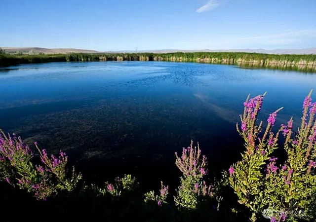 Photo 4 of Land for sale at 0 Silica Rd, Quincy, WA 98848 | MLS# NWM2508851 | Listing updated on 2026-09-21
