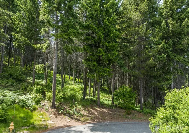 Photo 3 of Land for sale at 351 Quick Crk Ln, Cle Elum, WA 98922 | MLS# NWM2509285 | Listing updated on 2026-09-21