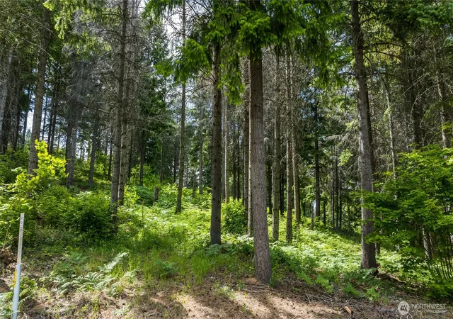 Photo 3 of Land for sale at 351 Quick Crk Ln, Cle Elum, WA 98922 | MLS# NWM2509285 | Listing updated on 2026-09-21