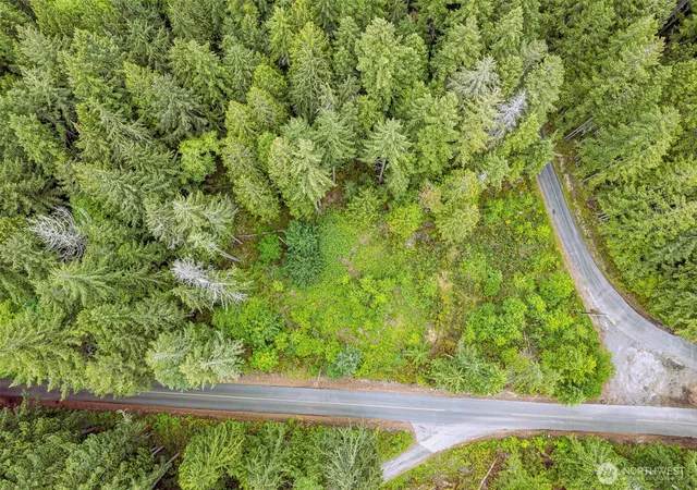 Photo 4 of Land for sale at 811 Herron Rd NW, Lakebay, WA 98349 | MLS# NWM2509388 | Listing updated on 2026-09-21