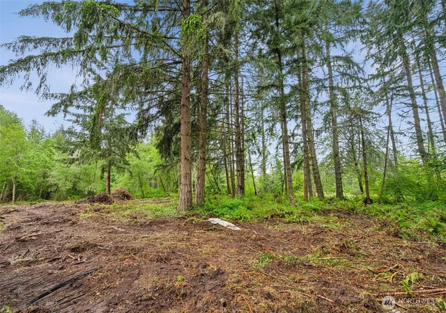 Photo 2 of Land for sale at 922 322nd Street Ct S, Roy, WA 98580 | MLS# NWM2509432 | Listing updated on 2026-09-22
