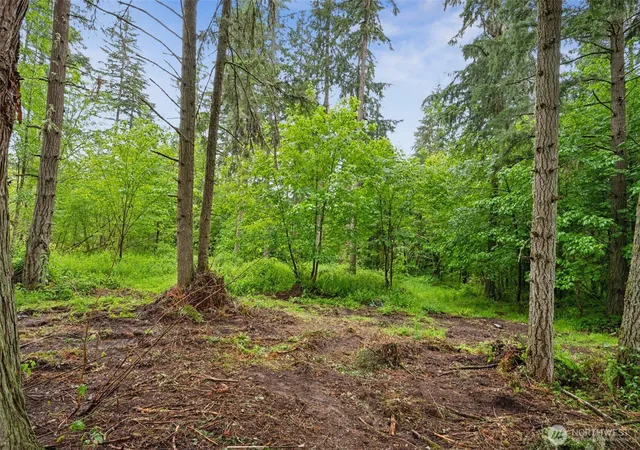 Photo 3 of Land for sale at 922 322nd Street Ct S, Roy, WA 98580 | MLS# NWM2509432 | Listing updated on 2026-09-22